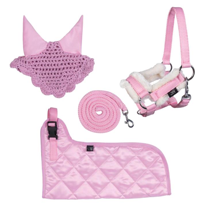Set Hobby Horse Pink